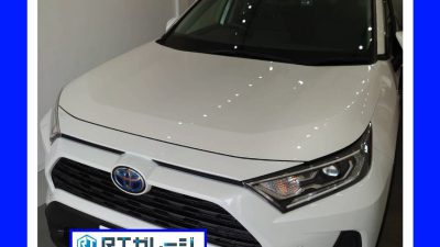 クリスタルキーパー　Lサイズ　トヨタ　RAV4