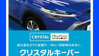 クリスタルキーパー　Mサイズ　ボルボ　V40