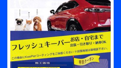 フレッシュキーパー　Lサイズ　ヴェゼル