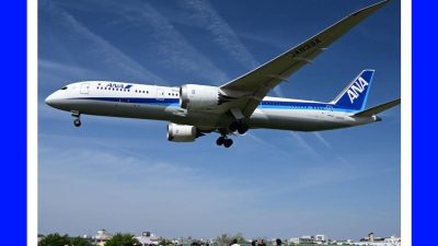 大阪国際空港　豊中つばさ公園『ma-zika』