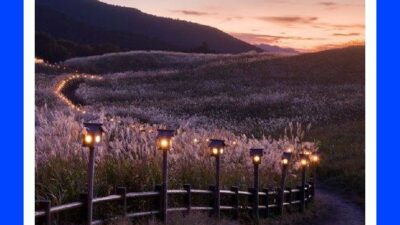 曽爾高原山灯り (曽爾高原) そにこうげんやまあかり